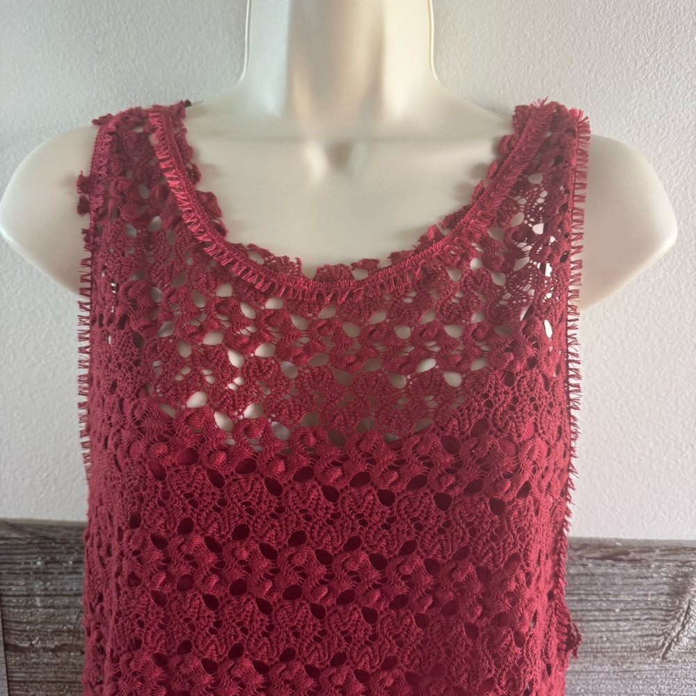 Free People Lily Lace Blouson Dress Red Raisin Size Small (T1) - Picture 3 of 10